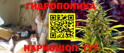 эйфоретик Коммунар
