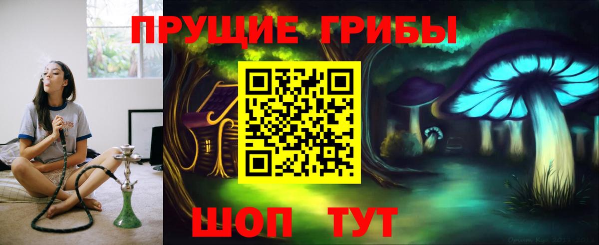 цена наркотик  Псилоцибиновые грибы прущие грибы  Вход с VPN  Киров  Псилоцибиновые грибы мицелий 
